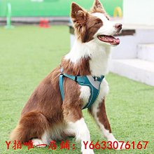 寵物Truelove寵物狗狗牽引繩狗鏈子遛狗繩用品神器小中大型犬外出金毛牽引繩 歷史價格詳細信息