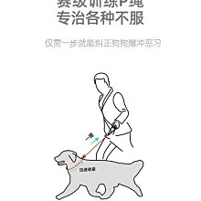 寵物狗狗牽引繩大型犬中型犬小型犬泰迪博美金毛哈士奇遛狗鏈繩子 歷史價格詳細信息