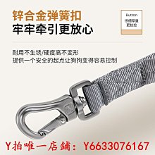 寵物出眾者寵物背帶遛狗牽引繩拉布拉多柴犬柯基金毛中小型犬胸背帶牽引繩 歷史價格詳細信息