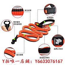 狗狗彈力牽引繩 大型犬寵物牽引帶 遛狗繩 尼龍狗繩 彈力防爆衝 近身控製 抗拉 結實耐用 狗繩 狗鏈 狗 寵物 超取 歷史價格詳細信息