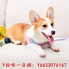 寵物狗用品大型犬牽引繩胸背帶調節背心式專用加粗防脫寵物牛皮遛狗繩牽引繩 歷史價格詳細信息
