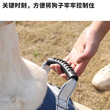 寵物狗狗牽引繩大型犬拉布拉多背心式胸背帶防爆沖夜間反光金毛遛狗繩牽引繩 歷史價格詳細信息