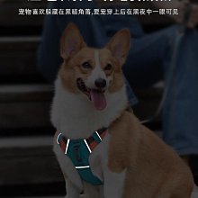 狗狗一拖二牽引繩自動伸縮遛狗鏈子兩只雙頭中小型犬狗繩泰迪博美 歷史價格詳細信息