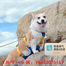 寵物狗狗牽引繩中小型犬背心式胸背遛狗雪納瑞泰迪比熊幼犬防爆沖項圈牽引繩 歷史價格詳細信息