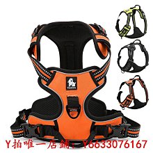 寵物truelove狗狗牽引繩中型大型犬金毛跑步寵物用品戶外運動遛狗繩子牽引繩 歷史價格詳細信息