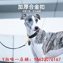 P鏈項圈寵物P鏈編制項圈狗頸圈脖圈德牧金毛小型犬P鏈寵物項圈-特價~特價 歷史價格詳細信息