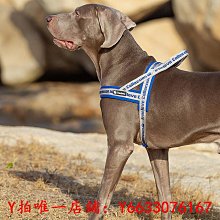 寵物truelove狗狗牽引繩中型大型犬金毛跑步寵物用品戶外運動遛狗繩子牽引繩 歷史價格詳細信息