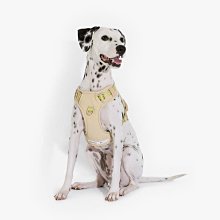 maogoublue狗狗牽引繩p繩遛狗繩p鏈寵物貓咪防爆沖防掙脫幼犬狗繩 歷史價格詳細信息