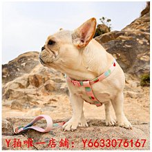 遛狗繩柯基犬牽引繩狗狗胸背帶背心式大型遛狗繩子中小型犬比熊柴犬用品 免運 歷史價格詳細信息