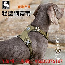 狗狗牽引繩狗繩子小型中型大型犬遛狗繩金毛柯基泰迪鏈子寵物用品 歷史價格詳細信息