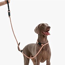 寵物maogoublue狗狗胸背帶小中幼型犬背心式可調節遛狗比熊寵物牽引繩牽引繩 歷史價格詳細信息