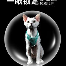 寵物貓咪狗狗背心式牽引繩 絶美僊女紗胸背帶 防掙脫 小型犬公主裙 WCB7 歷史價格詳細信息