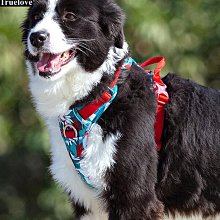 寵物Truelove狗狗牽引套裝遛狗繩子狗鏈中小大型犬柯基胸背帶背心式牽引繩 歷史價格詳細信息