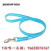 狗狗一拖二牽引繩自動伸縮遛狗鏈子兩只雙頭中小型犬狗繩泰迪博美 歷史價格詳細信息