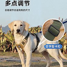 狗鏈子狗繩中型大型犬狗狗牽引繩拉布拉多金毛遛狗繩項圈狗狗用品-沐陽家居 歷史價格詳細信息