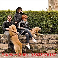 遛狗繩寵物牛油果狗狗背心式牽引繩貓咪外出胸背帶防掙脫遛狗繩子泰迪繩 免運 歷史價格詳細信息