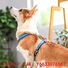 狗鏈子牽引繩防咬鐵鏈大型犬狗狗項圈遛狗繩小型柯基金毛德牧土狗 歷史價格詳細信息