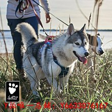 寵物Hurtta悍拓炫彩Y字胸背小型中型大型犬狗狗胸背狗戶外牽引背心牽引繩 歷史價格詳細信息
