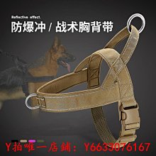 拉布拉多專用狗狗繩子防爆沖P鏈遛狗牽引繩防掙脫狗鏈子中大型犬 歷史價格詳細信息