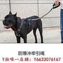 防爆沖牽引繩│寵物胸背帶(送牽繩)-紅貼標 歷史價格詳細信息
