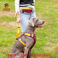 新款狗狗牽引繩狗狗外出牽引繩小狗胸背帶比熊博美小型犬狗繩子 歷史價格詳細信息