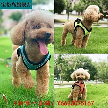 狗鏈子牽引繩防咬鐵鏈大型犬狗狗項圈遛狗繩小型柯基金毛德牧土狗 歷史價格詳細信息