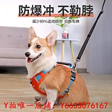 狗狗牽引繩背心式中小型犬防爆沖胸背帶遛狗繩柴犬項圈寵物狗鏈子 歷史價格詳細信息
