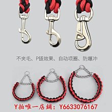 金毛專用狗狗繩子防爆沖P鏈遛狗牽引繩防掙脫狗鏈子中大型犬 歷史價格詳細信息