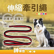 狗狗彈力牽引繩 p繩p鏈 防爆衝寵物牽引繩 牽引繩 狗繩 牽繩綫 遛狗繩 遛狗帶 狗狗牽引繩 牽狗繩外出繩 歷史價格詳細信息