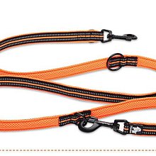 寵物Truelove多功能狗狗牽引繩寵物牽引繩金毛狗繩狗鏈雙頭牽引跑步牽引繩 歷史價格詳細信息