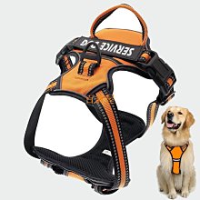 寵物牽引繩 狗狗牽引繩帶燈自動伸縮小型中型犬博美柯基狗鏈遛狗繩子寵物用品 歷史價格詳細信息