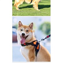 狗狗牽引繩金毛泰迪中型大型犬背心式遛狗鏈子胸背帶狗繩寵物用品 歷史價格詳細信息
