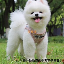 背心式寵物牽引繩 喵咪狗狗胸背帶 糖果色多款式柯基泰迪胸背帶套裝 透氣反光遛狗鏈 防爆衝狗繩 寵物用品 歷史價格詳細信息