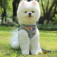 背心式寵物牽引繩 喵咪狗狗胸背帶 糖果色多款式柯基泰迪胸背帶套裝 透氣反光遛狗鏈 防爆衝狗繩 寵物用品 歷史價格詳細信息
