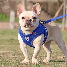 寵物背帶狗狗牽引繩小型犬泰迪柯基用品項圈中型犬背心式胸背帶遛狗繩鏈子 歷史價格詳細信息