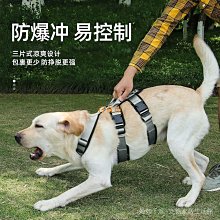 狗狗牽引繩  背心式胸揹帶  中型大型犬遛狗  金毛拉布拉多泰迪狗鏈狗繩 EXQ 歷史價格詳細信息