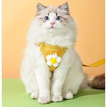 寵物背心牽引繩 狗狗卡通立體配件泰迪遛狗繩 喵咪外出防掙脫胸背 狗狗牽引繩 寵物牽引繩 高顏值胸背帶 歷史價格詳細信息