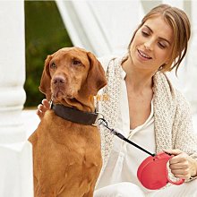 福萊順天然氣燃氣熱水器家用恆溫強排式液化氣煤氣12升 歷史價格詳細信息