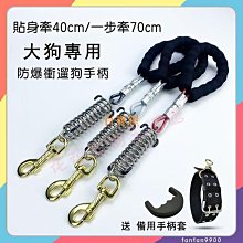 防爆沖馬犬遛狗德牧拉布拉多金毛牽引繩牛皮拴牽狗繩大型犬鏈子帶 歷史價格詳細信息