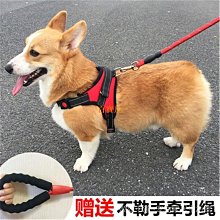 狗狗牽引繩金毛泰迪中型大型犬背心式遛狗鏈子胸背帶狗繩寵物用品 歷史價格詳細信息