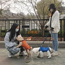 狗狗牽引繩胸揹帶狗繩小型中型大型犬金毛薩摩耶防爆衝狗鏈結實 歷史價格詳細信息