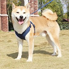 寵物狗胸背帶麂皮絨胸背中小型犬背心式牽引繩 寵物防爆衝反光胸揹帶法鬥胸背中小型犬背帶 歷史價格詳細信息