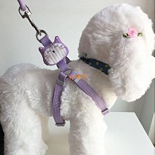 喵咪項圈 寵物項圈 狗狗項圈 幼喵項圈 狗項圈 寵物牽繩 遛狗神器 狗牽引繩自動伸縮遛狗繩狗鏈收縮寵物用品喵咪狗狗牽引 歷史價格詳細信息