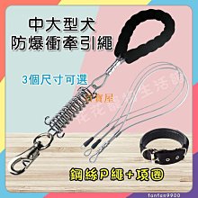 防爆沖防咬中大型用寵物不銹鋼狗鏈P鏈粗遛狗牽引繩狗狗項圈脖圈~爆款 優惠價 歷史價格詳細信息