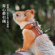 可收縮牽引繩自動35米超長狗狗牽引繩 喵牽繩 自動伸縮纖繩 遛狗神器小型中大型繩狗鏈 寵物自動寵物伸縮牽引繩 歷史價格詳細信息