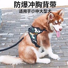 牽引繩BB胸背加拿大進口高端寵物真皮胸背支持專屬定制BUDDY BELTS牽引帶 歷史價格詳細信息