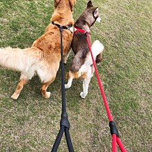 喵喵牽引繩 狗狗牽引繩狗繩單項圈遛狗遛喵繩小型犬中型犬泰迪博美狗狗用品 歷史價格詳細信息