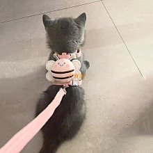 喵咪牽引繩小狗繩博美茶小體狗狗用溜狗繩背心式寵物牽引繩 歷史價格詳細信息