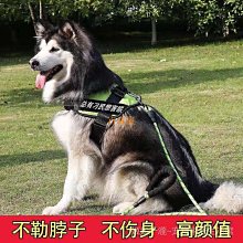 結實狗狗鍊子狗牽引繩胸背帶遛狗繩子薩摩金毛中大型犬寵物用品 YYUW35922 歷史價格詳細信息