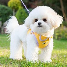 背心式寵物牽引繩 喵咪狗狗胸背帶 糖果色多款式柯基泰迪胸背帶套裝 透氣反光遛狗鏈 防爆衝狗繩 寵物用品 歷史價格詳細信息
